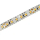 LX LED - Ruban LED - Blanc froid - 5500K - 120 Led/m - 80W - IP20 - Premium - 5m/rouleau