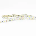 LX LED - Ruban LED - Blanc froid - 5000K - 60 Led/m - 72W - IP20 - 5m/rouleau