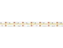 PROLED 2026 - FLEX STRIP HIGH POWER WW 2,5m