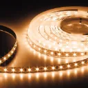 PROLED 2026 - FLEX STRIP 400 HE+ SWW 20m