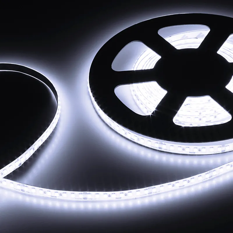 [L684904] PROLED 2026 - FLEX STRIP 800 W IP53 5m