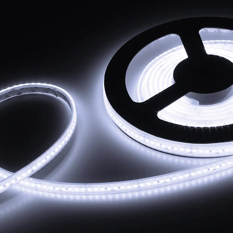 PROLED 2026 - FLEX STRIP 800 ENERGY W IP68 5m