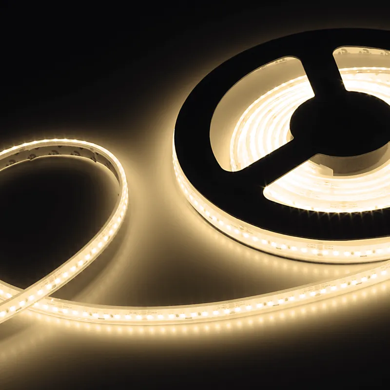 [L685906] PROLED 2026 - FLEX STRIP 800 WW IP68 5m